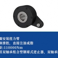 逆止器-双轴承