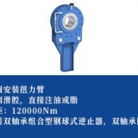 逆止器-双轴承+扭力臂型)