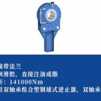 钢球式逆止器 -法兰型2