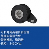 单向离合器 -扭力臂型