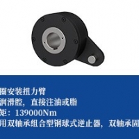 单向离合器-双轴承+扭力臂型