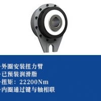 单向离合器 -扭力臂型