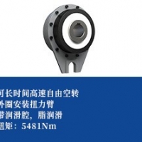超越离合器-扭力臂型2