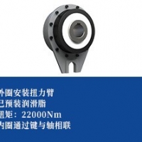 钢球式超越离合器 -扭力臂型