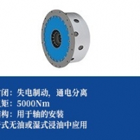 大扭矩失电制动器 -常闭