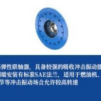 轮胎联轴器-法兰联接