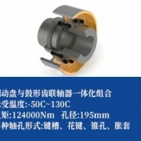 鼓形齿联轴器+制动盘