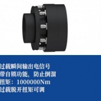 自锁型扭矩限制器