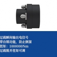 提升设备专用扭矩限制器
