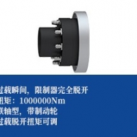 钢球式扭矩限制器 -带制动轮
